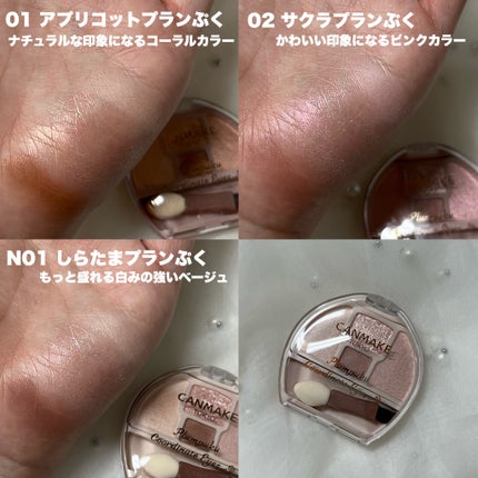 プランぷくコーデアイズ/キャンメイク/パウダーアイシャドウを使ったクチコミ(4枚目)