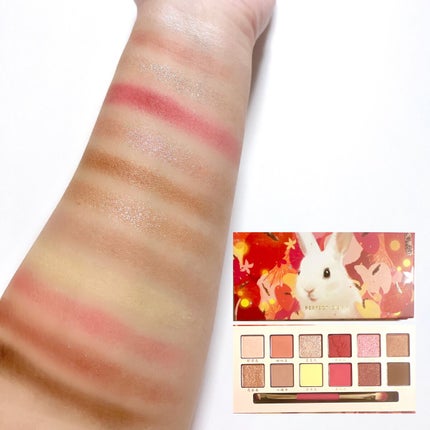 エクスプローラ12色 動物アイシャドウパレット/PERFECT DIARY/アイシャドウパレットを使ったクチコミ(4枚目)