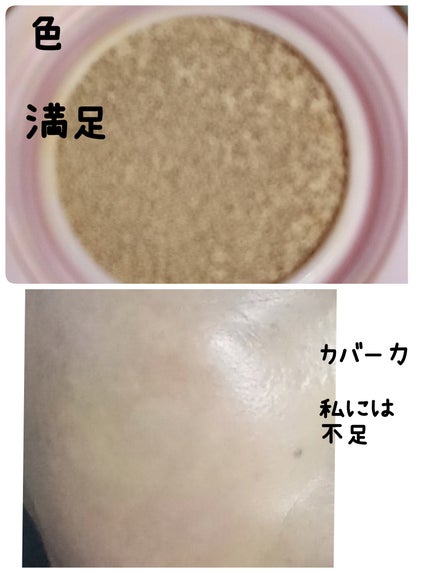 ピンクティーツリーカバープライマークッション/APLIN/クッションファンデーションを使ったクチコミ(2枚目)