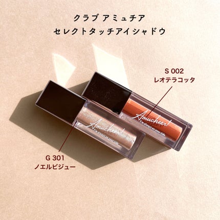 アミュチア セレクトタッチアイシャドウ S002 レオテラコッタ/クラブ/リキッドアイシャドウを使ったクチコミ(2枚目)