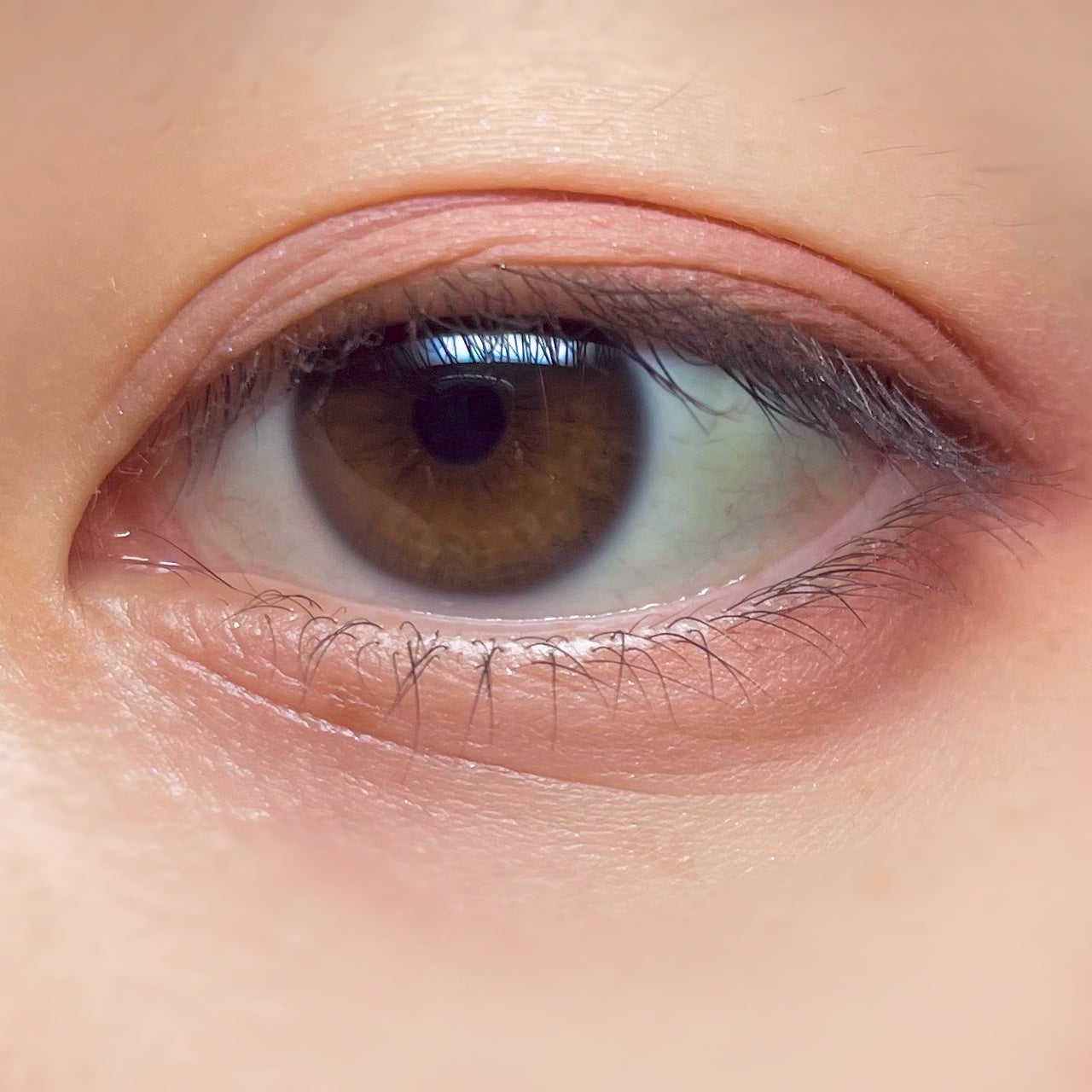 パーフェクトマルチアイズ/キャンメイク/アイシャドウパレットを使ったクチコミ(4枚目)