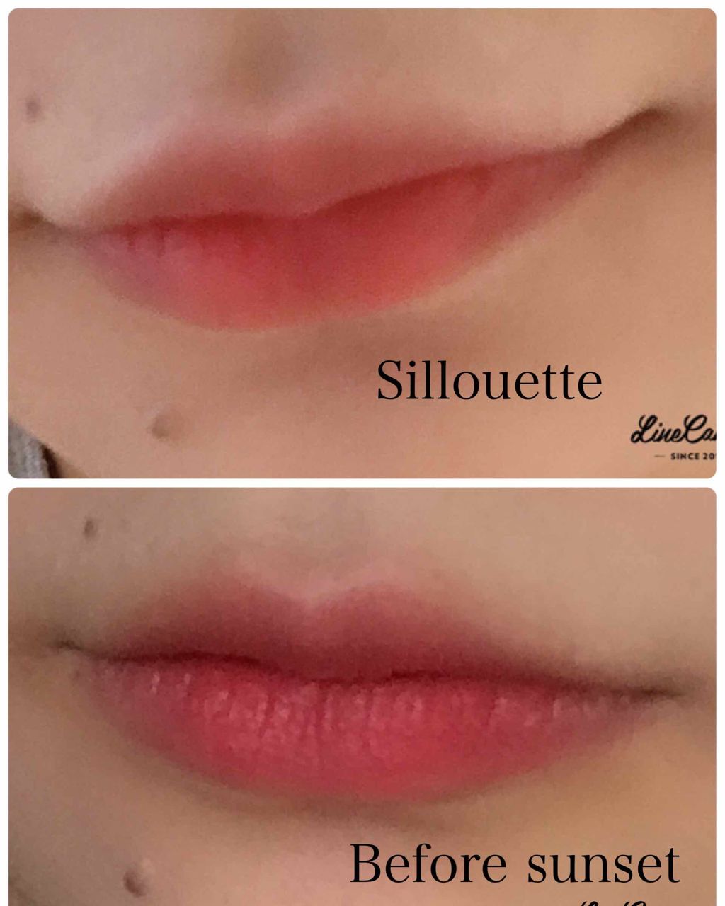 ゼログラムマットリップスティック/rom&nd/口紅を使ったクチコミ(3枚目)