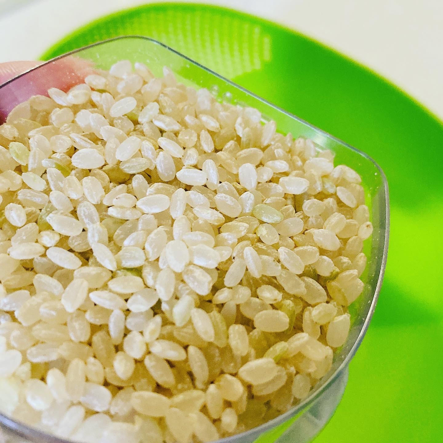 KoMeTa 澄 SUMU/ミツハシライス/食品を使ったクチコミ（3枚目）