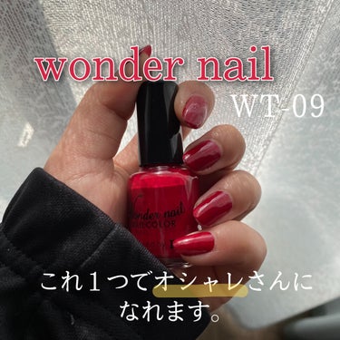 pa ワンダーネイル WN-09/pa nail collective/マニキュアを使ったクチコミ（1枚目）