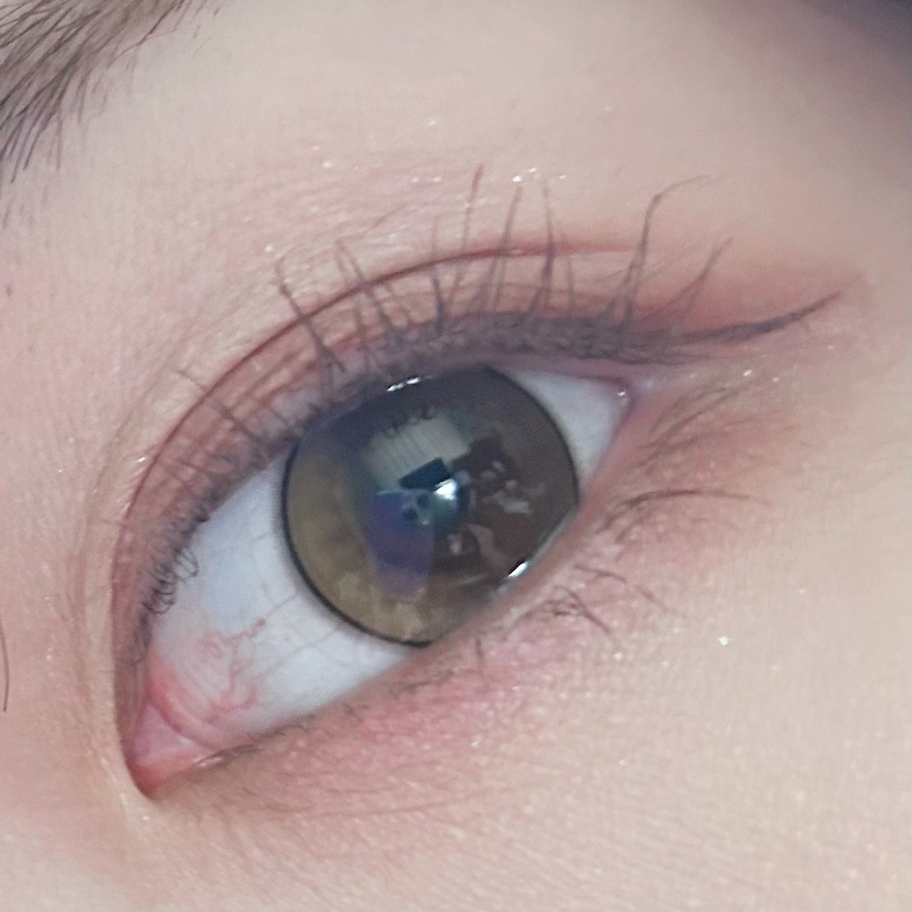 チークブラッシュ/CEZANNE/パウダーチークを使ったクチコミ（2枚目）