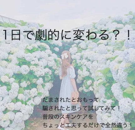 ハトムギ化粧水(ナチュリエ スキンコンディショナー R )/ナチュリエ/化粧水を使ったクチコミ(1枚目)