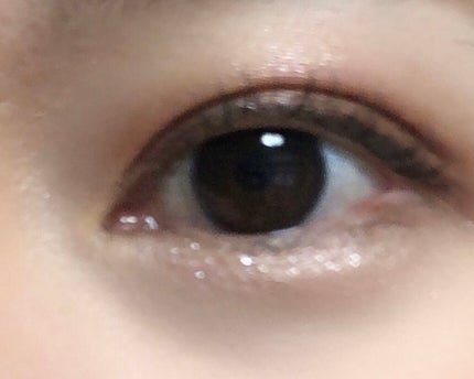 ナイストゥミーチュートランク/MAJOLICA MAJORCA/アイシャドウパレットを使ったクチコミ(2枚目)