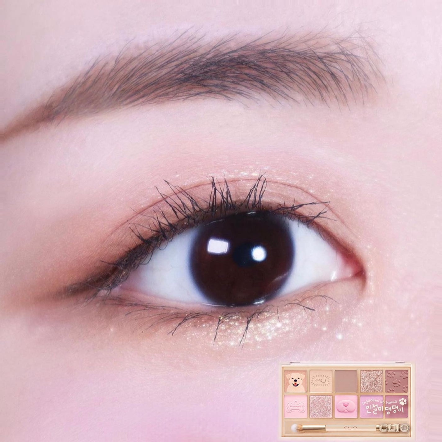 yuno on LIPS 「【 @cliocosmetics_jp】うちのわんころパレット..」(3枚目)