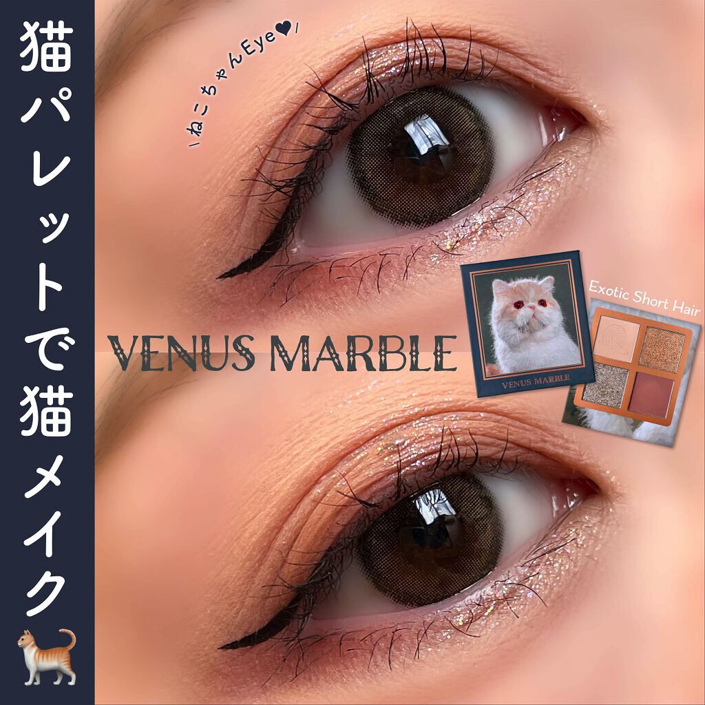 Venus Marble アイシャドウキャットシリーズ/Venus Marble/アイシャドウパレットを使ったクチコミ（1枚目）