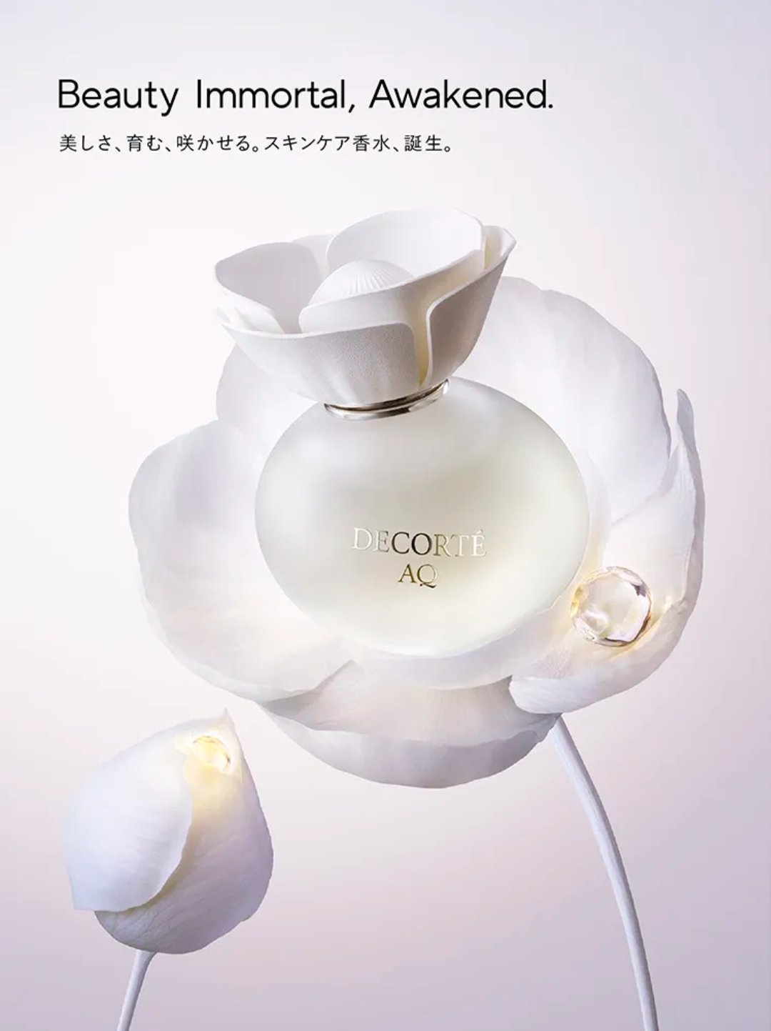 ＡＱ　オードパルファン 30ml/DECORTÉ/香水(レディース)を使ったクチコミ（1枚目）