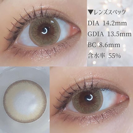 リッチスタンダード2WEEKシリーズ/RICH STANDARD/2週間(2WEEKS)カラコンを使ったクチコミ(5枚目)