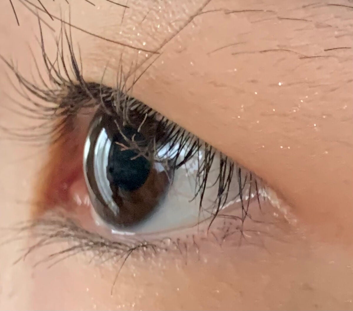 パーマネントカール マスカラ ハイブリッド(ロング)/FASIO/マスカラを使ったクチコミ(4枚目)