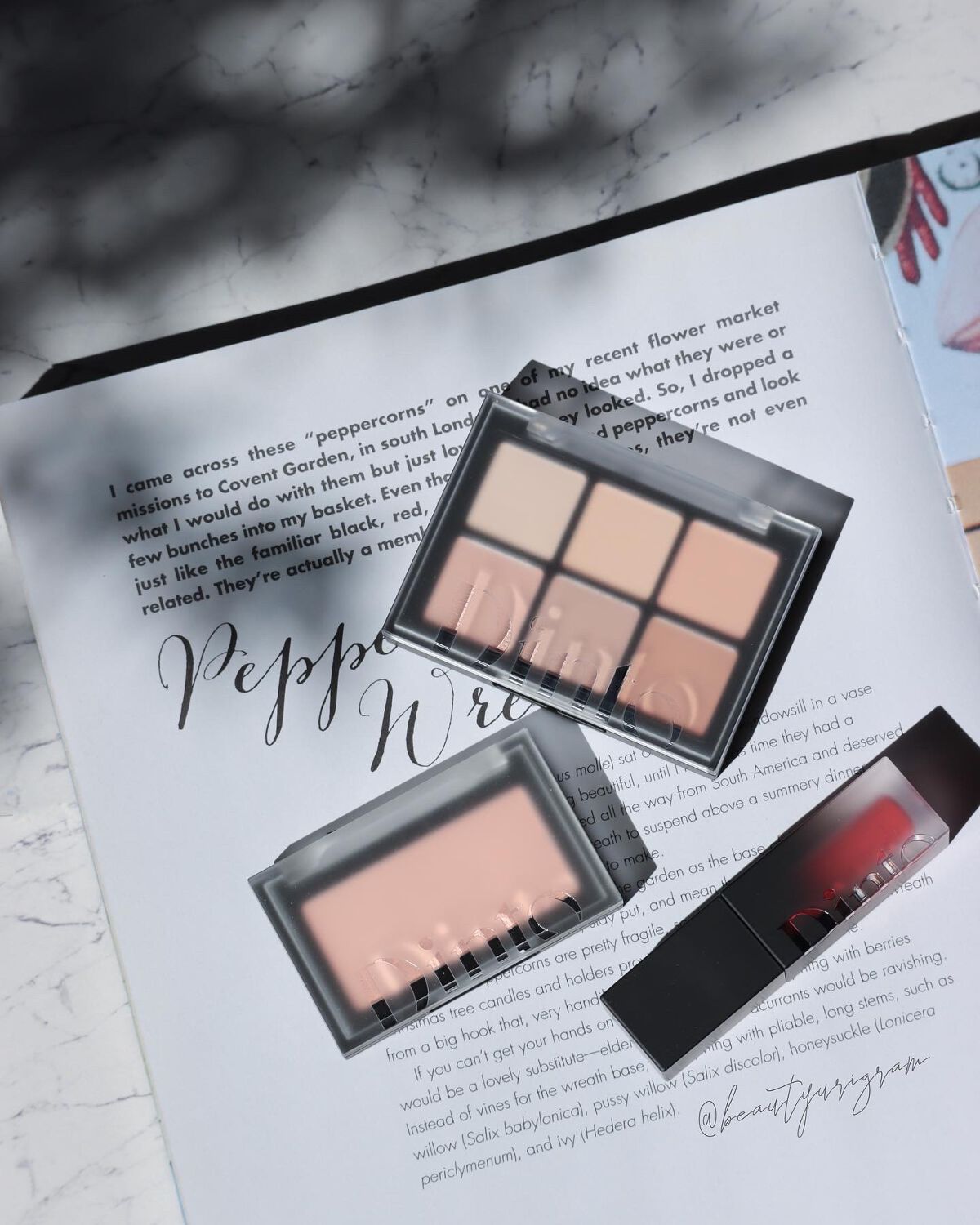 ブラーフィニシュブラッシャー/Dinto/パウダーチークを使ったクチコミ（1枚目）