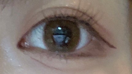 リキッドアイライナーR4/ラブ・ライナー/リキッドアイライナーを使ったクチコミ(1枚目)