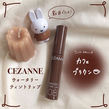 ウォータリーティントリップ 08 カフェブラウン/CEZANNE/口紅を使ったクチコミ（1枚目）