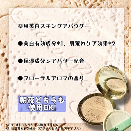 スノービューティー ブライトニング スキンケアパウダーA (医薬部外品)/スノービューティー/プレストパウダーを使ったクチコミ(5枚目)