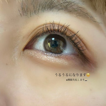 アイムスティックシャドウシマー/i’m meme/スティックアイシャドウを使ったクチコミ(4枚目)