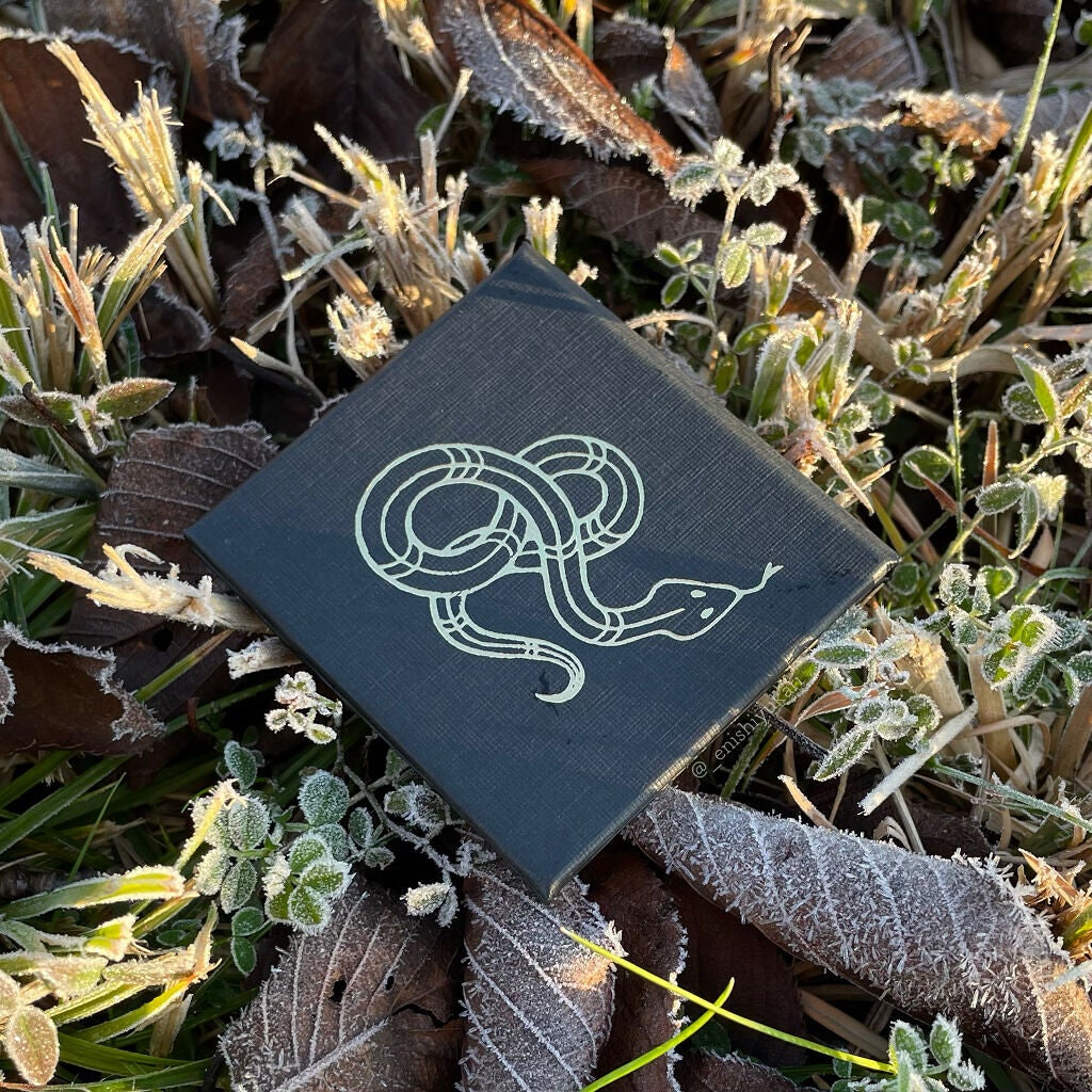 プレスドアイシャドウパレット 悪戯好きの山蛇/SIGIL inspired/アイシャドウパレットを使ったクチコミ(2枚目)