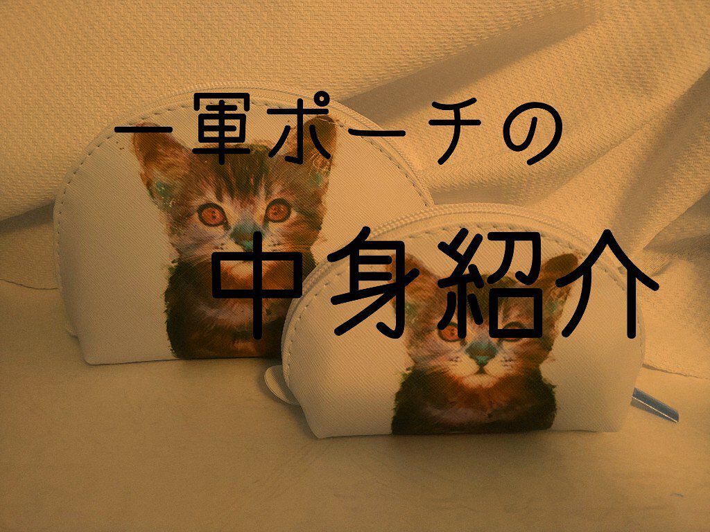 lia on LIPS 「はじめまして、liaです。一軍ポーチのコスメがよくておすすめし..」(1枚目)