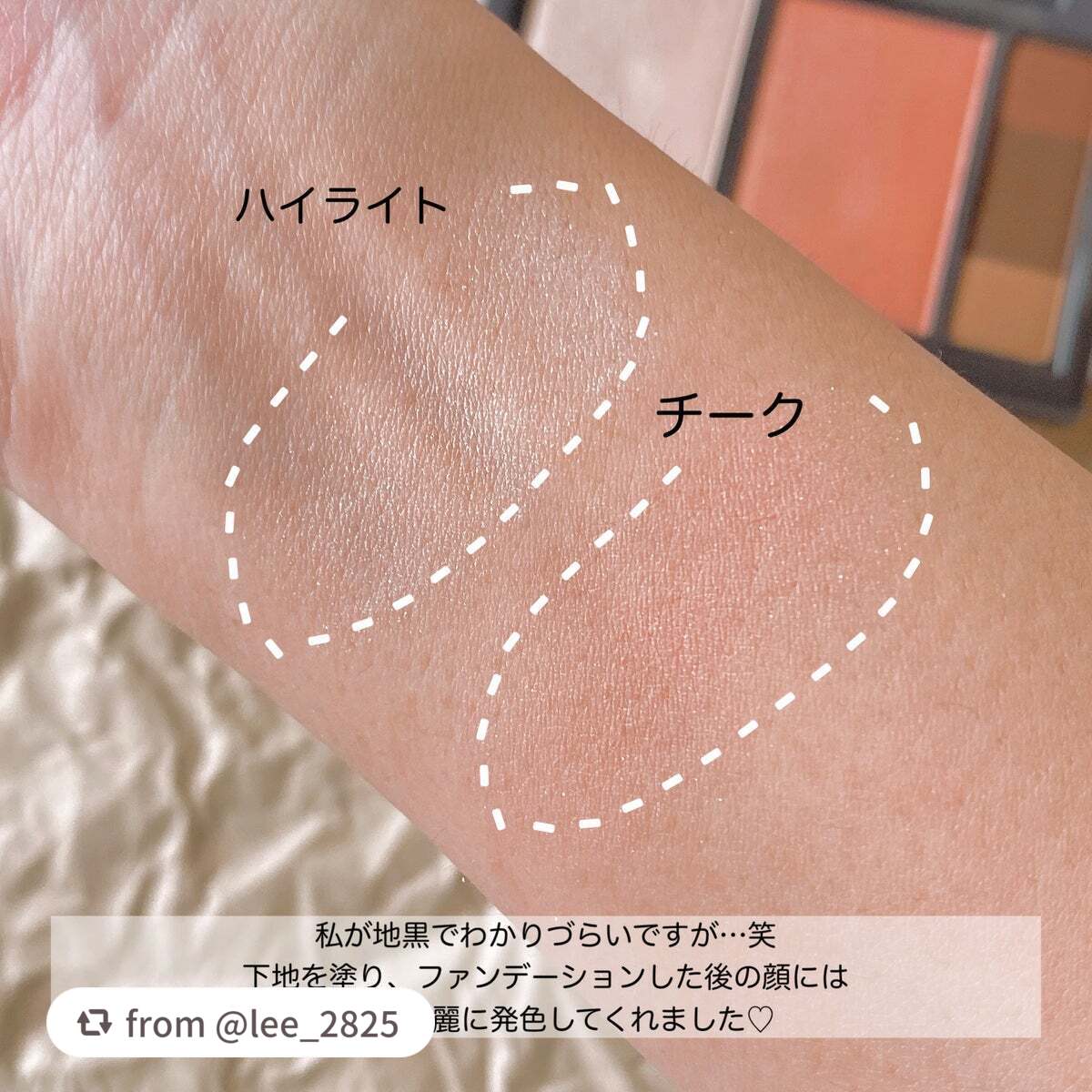 フィット my カラーパレット/STEIASUR(ステイアシュール)/マルチパレットを使ったクチコミ(3枚目)