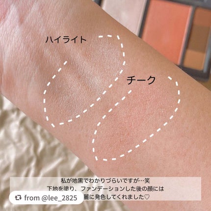 フィット my カラーパレット/STEIASUR(ステイアシュール)/マルチパレットを使ったクチコミ(3枚目)