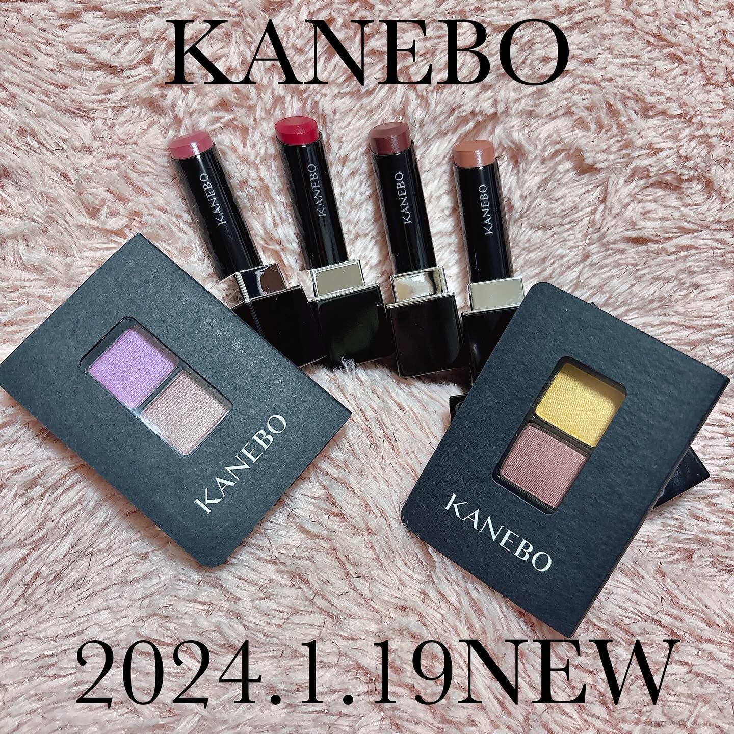 カネボウ アイカラーデュオ/KANEBO/アイシャドウパレットを使ったクチコミ（1枚目）