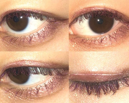 グロッシーリッチ アイズ/Visée/アイシャドウパレットを使ったクチコミ(2枚目)