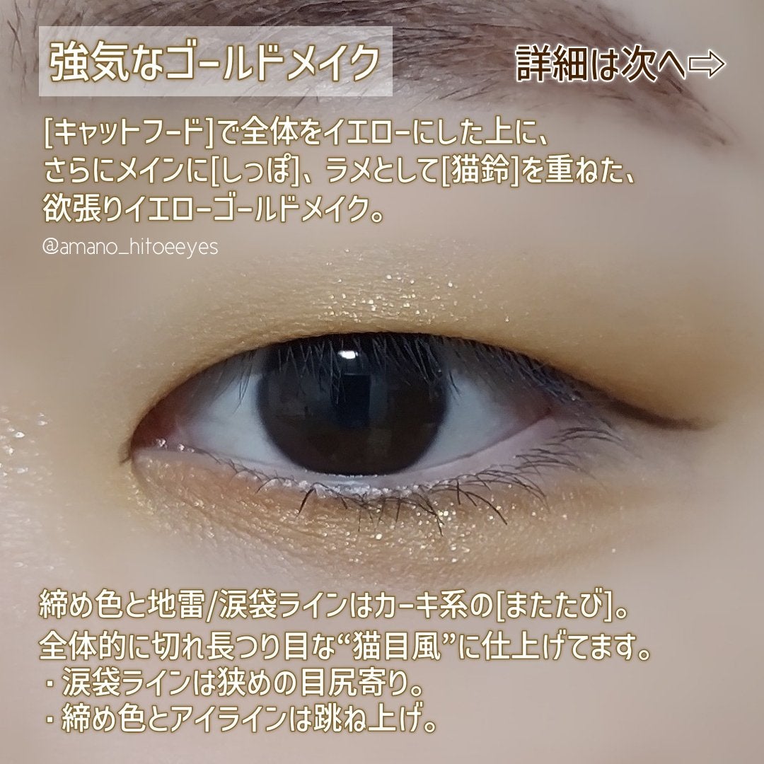 エクスプローラ12色 動物アイシャドウパレット/PERFECT DIARY/アイシャドウパレットを使ったクチコミ(3枚目)