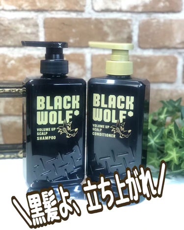 大正製薬 ブラックウルフ　ボリュームアップスカルプシャンプーのクチコミ「ブラックウルフ 
ボリュームアップ スカルプシャンプー
ボリュームアップ スカルプコンディショ.....」（1枚目）