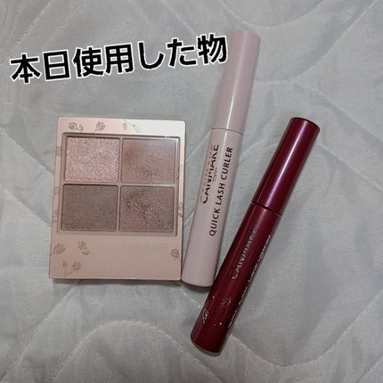 シルキースフレアイズ(マットタイプ)/キャンメイク/アイシャドウパレットを使ったクチコミ(4枚目)