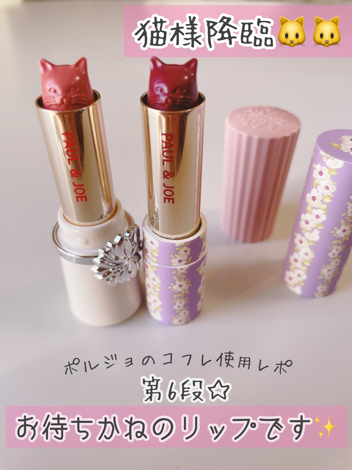 メイクアップ コレクション 2023/PAUL & JOE BEAUTE/メイクアップキットを使ったクチコミ(1枚目)