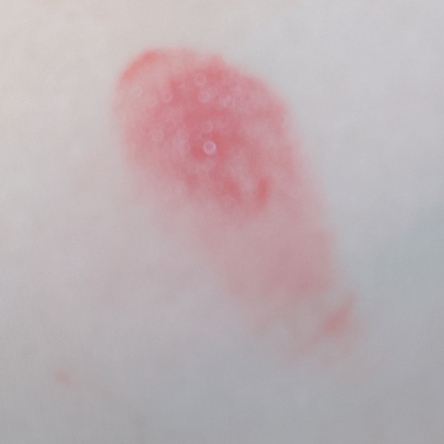 ボンディンググロウリップスティック/Laka/口紅を使ったクチコミ(3枚目)