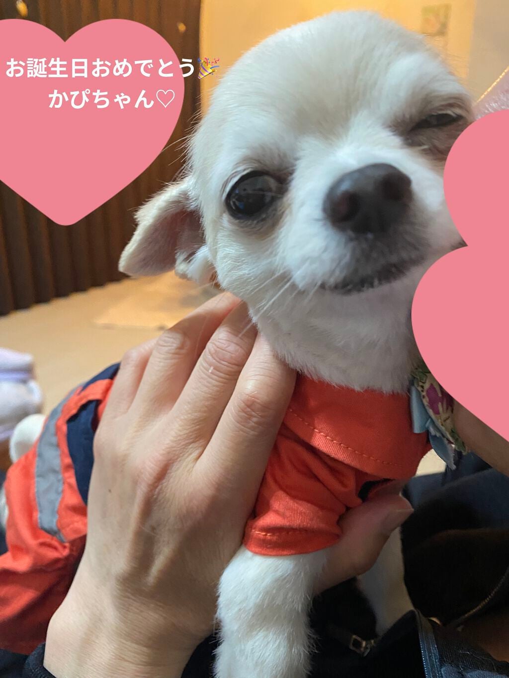 カラフルネイルズ/キャンメイク/マニキュアを使ったクチコミ(6枚目)