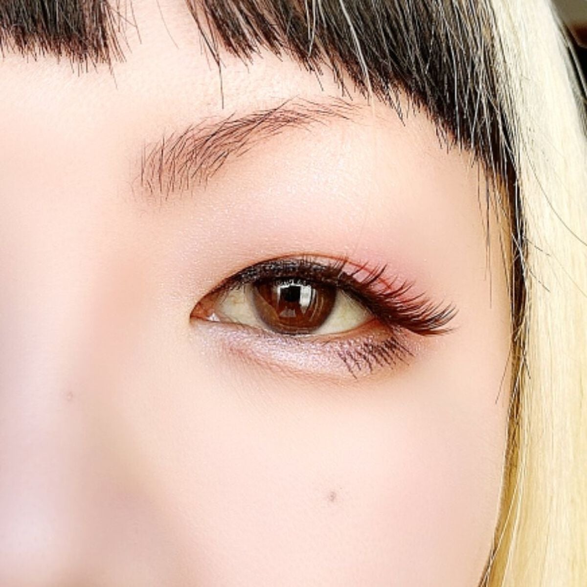 プロ アイ パレット/CLIO/アイシャドウパレットを使ったクチコミ(5枚目)