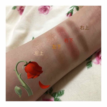 ミネラルクラッシィシャドー/エトヴォス/アイシャドウパレットを使ったクチコミ(3枚目)