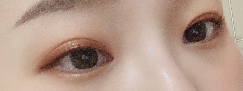 Love Bear 9色 アイシャドウパレット ヘーゼルナッツココア/FlowerKnows/アイシャドウパレットを使ったクチコミ（3枚目）