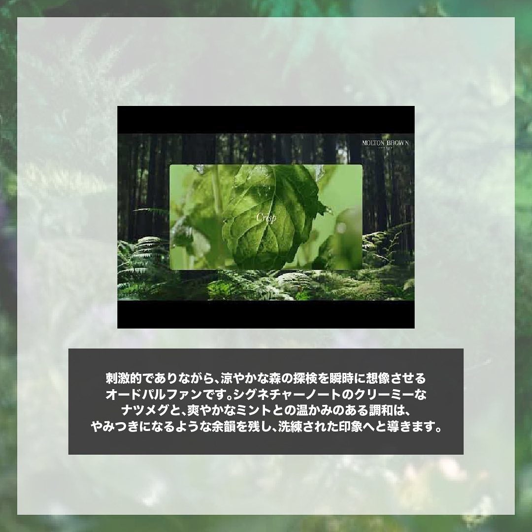 ワイルドミント&ラバンジン オードパルファン/モルトンブラウン/香水(その他)を使ったクチコミ(2枚目)