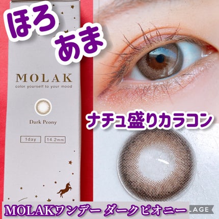 MOLAK 1day/MOLAK/ワンデー(1DAY)カラコンを使ったクチコミ(1枚目)