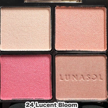 アイカラーレーション 24 Lucent Bloom/LUNASOL/アイシャドウパレットを使ったクチコミ（3枚目）