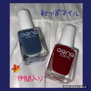 gene TOKYO ネイル/DAISO/マニキュアを使ったクチコミ（1枚目）