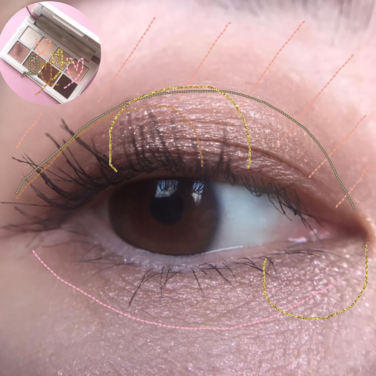 ゆかぴ on LIPS 「【today'smakeup】✔︎#スキンベージュシャドウ✔︎..」(3枚目)