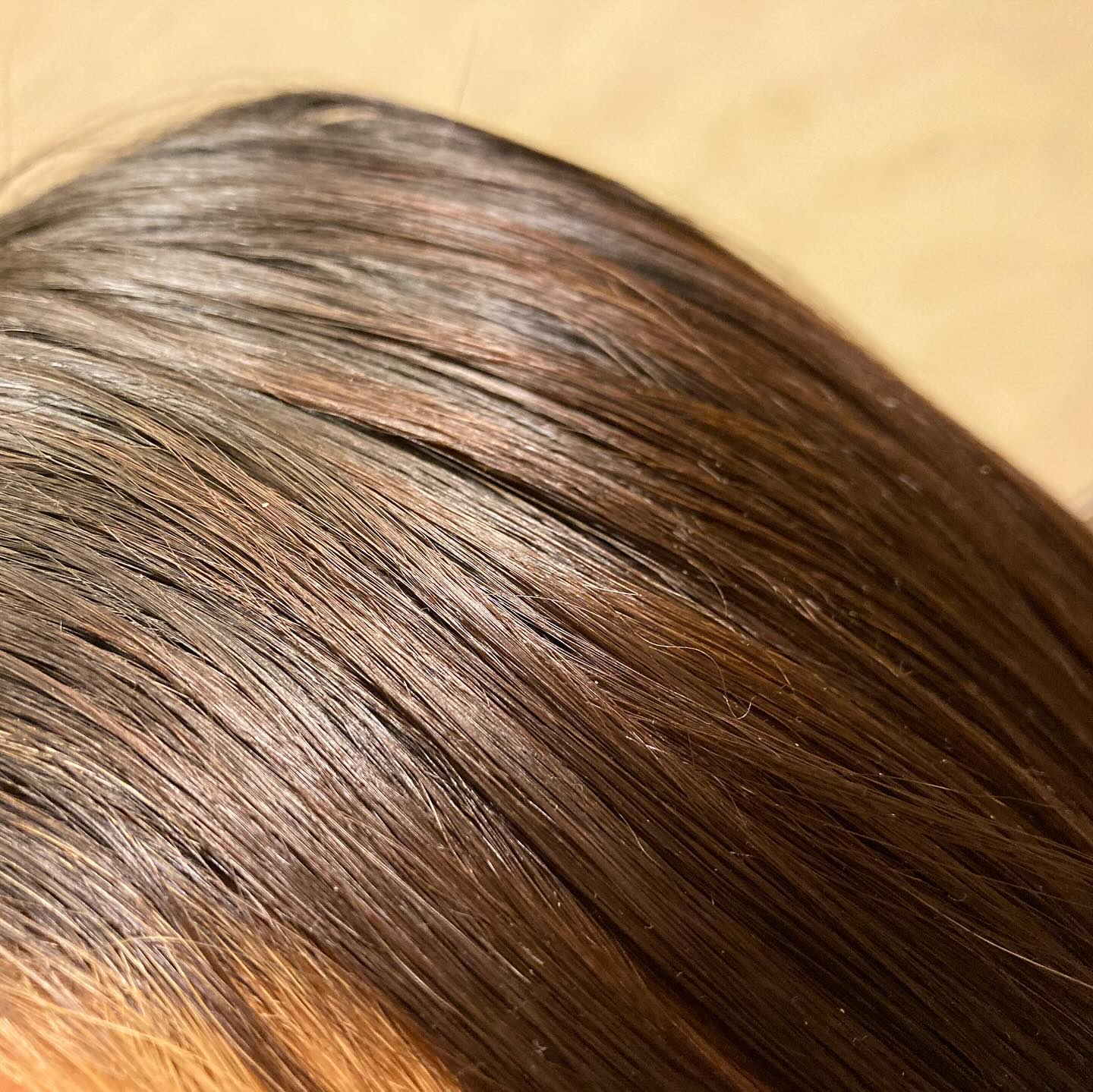 NIJI＜ニジ＞リズミック シャンプー/トリートメント/NIJI RHYTHMIC/市販シャンプーを使ったクチコミ（3枚目）