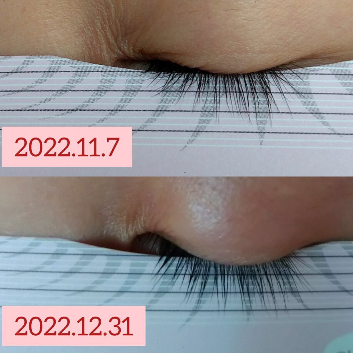 アイラッシュセラム/PHOEBE BEAUTY UP/まつげ美容液を使ったクチコミ(4枚目)