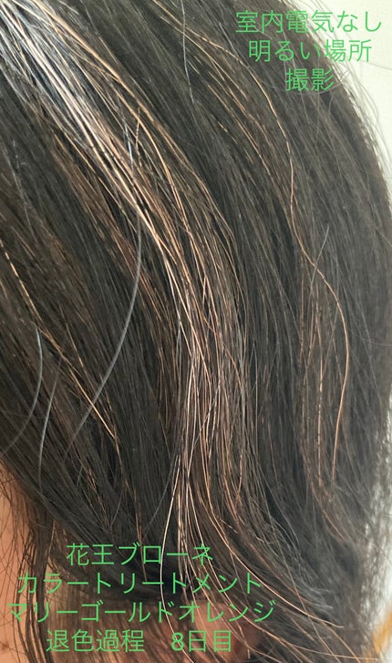 ブローネ カラートリートメント/ブローネ/ヘアカラーを使ったクチコミ(7枚目)