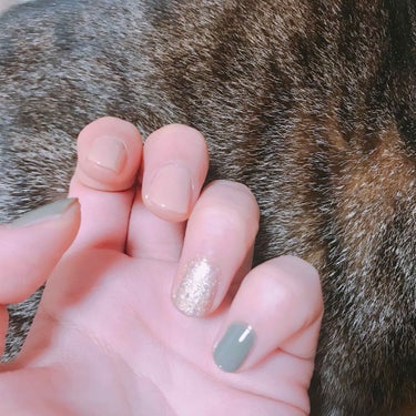 💅
背景は、うちのネコたんの毛皮。🐈
#プチプラ 
#キャンメイク 
#CANMAKE 
#ネイルホリック 
#NAILHOLIC
#ネイル
#セルフネイル の画像 その0