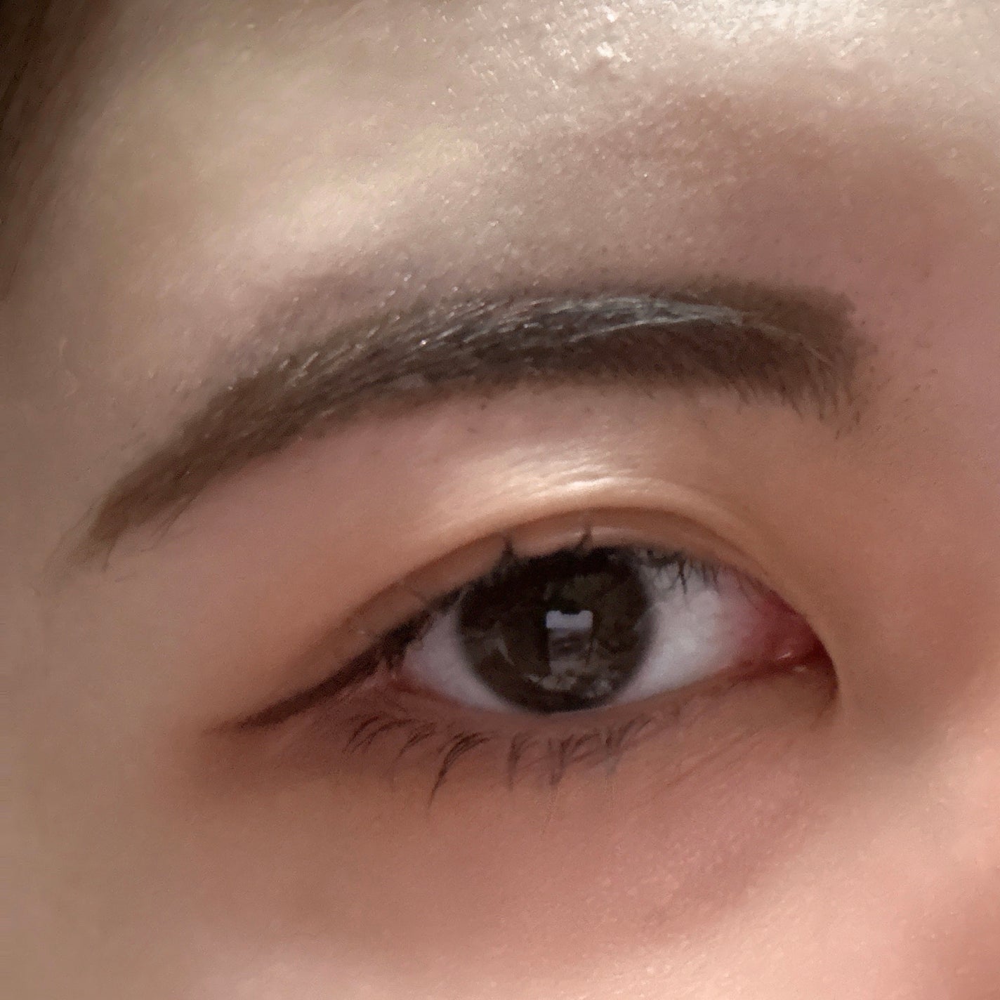 まさき on LIPS 「CANMAKEパーフェクトマルチアイズ03アンティークテラコッ..」(5枚目)