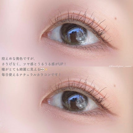 BELLSiQUE 1day/ベルシーク/ワンデー(1DAY)カラコンを使ったクチコミ(4枚目)