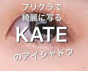 ヴィンテージモードアイズ/KATE/パウダーアイシャドウを使ったクチコミ（1枚目）