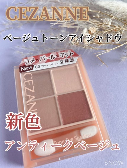 ベージュトーンアイシャドウ/CEZANNE/アイシャドウパレットを使ったクチコミ(1枚目)