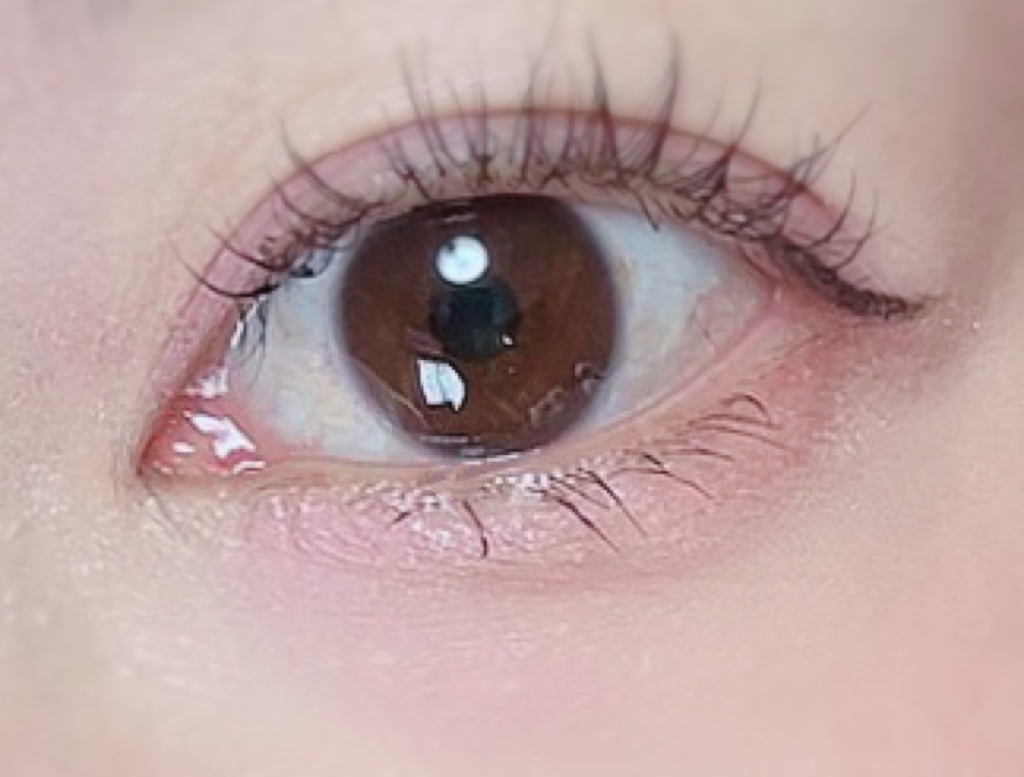 パステルヴェールコンシーラー/キャンメイク/パレットコンシーラーを使ったクチコミ（3枚目）